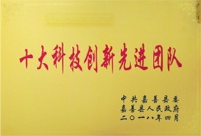 十大科技創(chuàng)新先進(jìn)團(tuán)隊(duì)